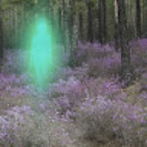 Meet your Posher, Evan